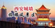 费鸡巴网站中国陕西-西安城墙旅游风景区